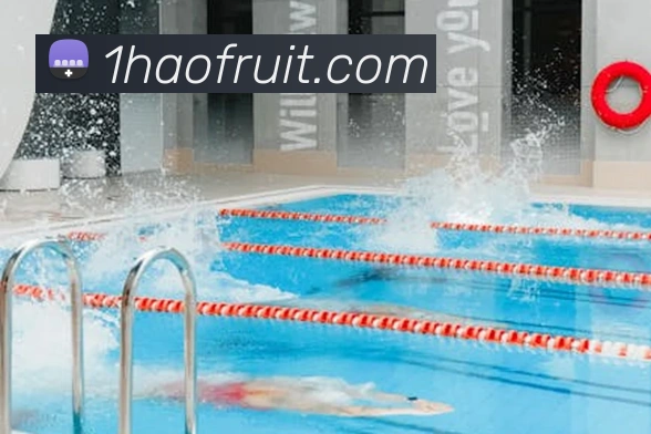 多媒体互动体验